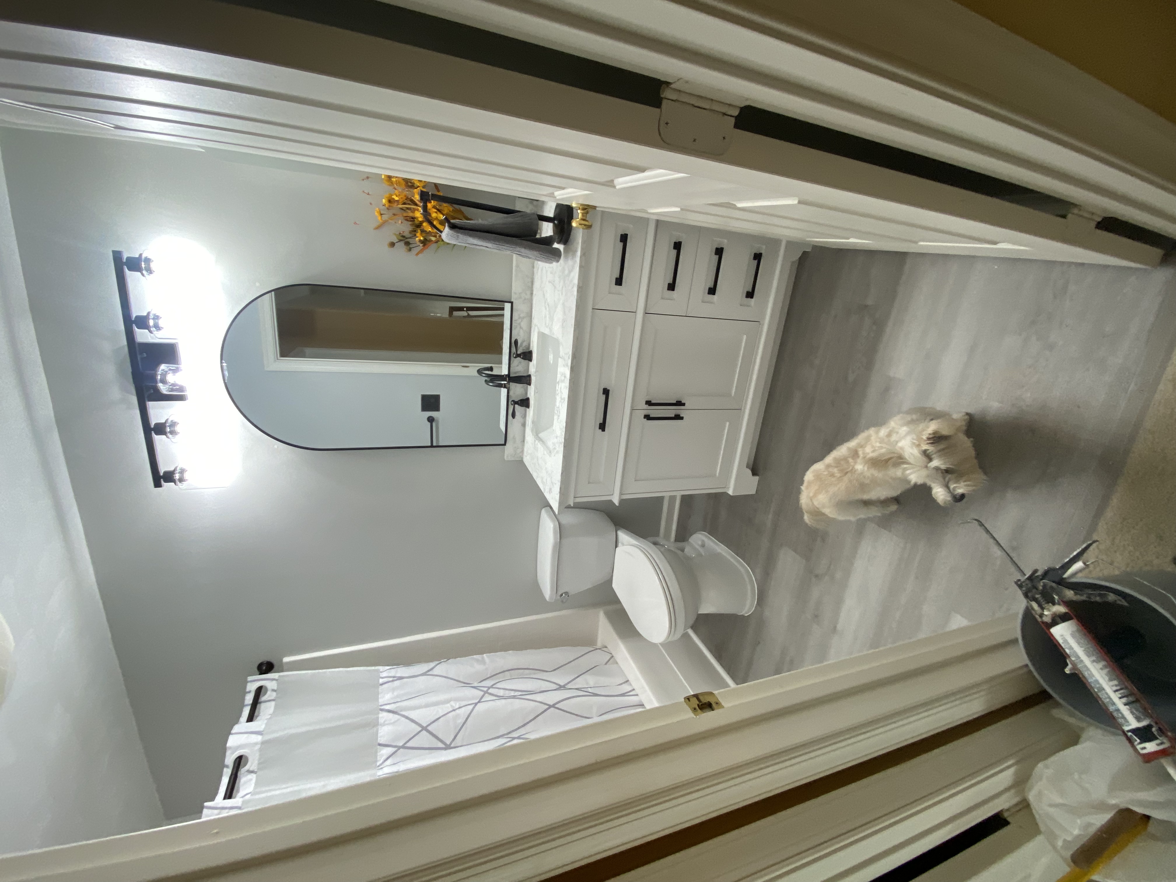 Bathroom refresh — vanity and lighting with LVP flooring